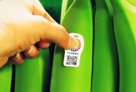 Ecuador, quando le banane fanno da ambasciatore