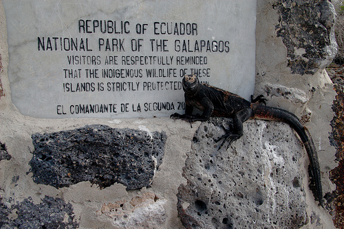 Galapagos