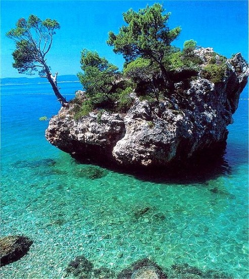 Dalmazia