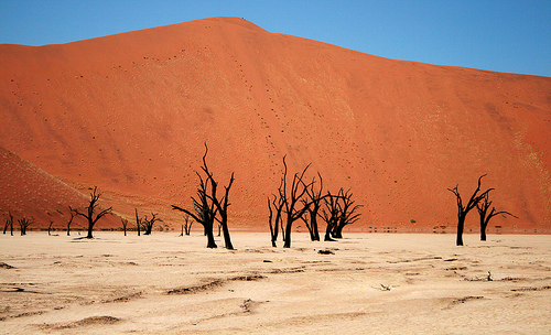 namib