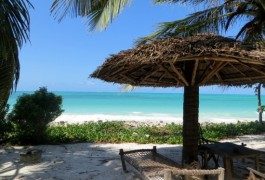 Cartoline da Zanzibar