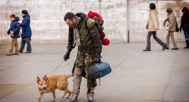 Viaggiare con gli animali: informazioni utili