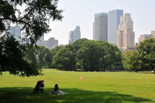Central Park, il polmone verde della Grande Mela