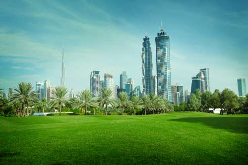 Dubai (1)