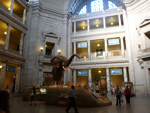 National Museum of Natural History