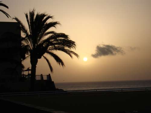 Isole Canarie