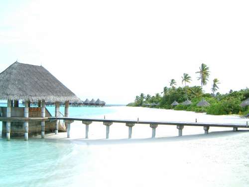 Maldive