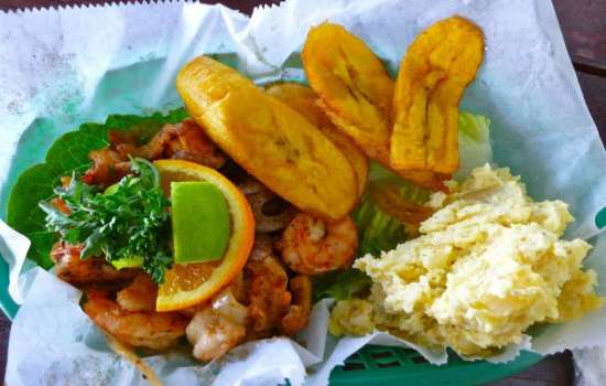 Gastronomia bahamense