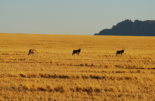 Namibia