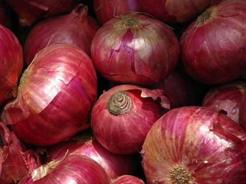 Lo scalo per le cipolle