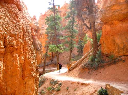 Bryce Canyon , Utah (USA)