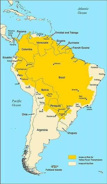Diffusione della febbre gialla in Sud America