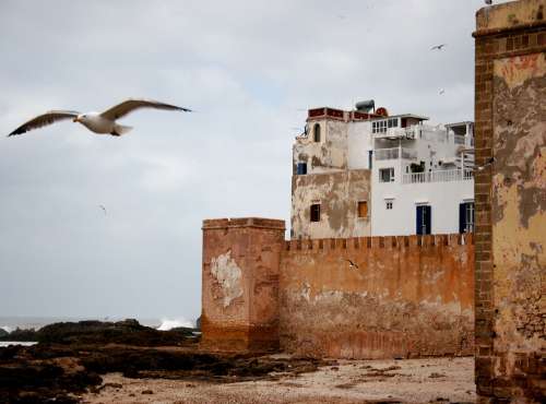 Essaouira (Marocco)