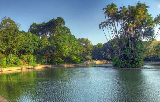 Singapore Botanic Gardens
