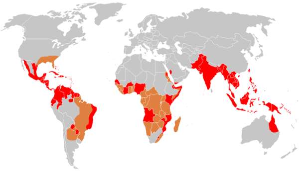 Zone di diffusione della dengue