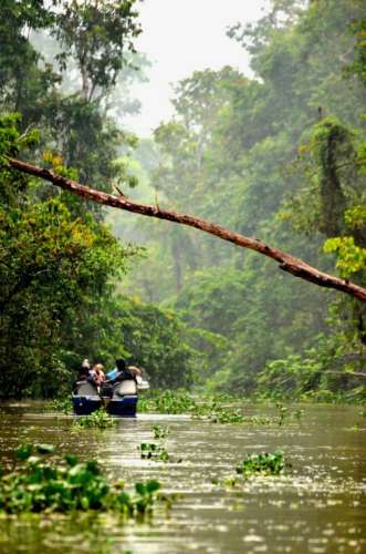 Borneo