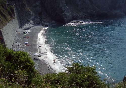 Guvano