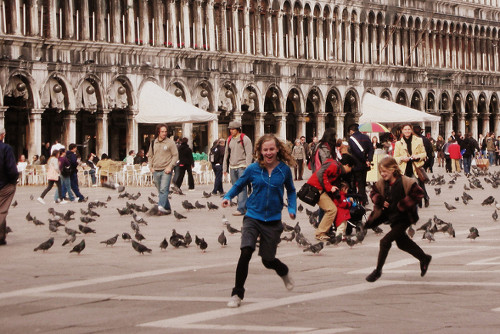 Piccioni a Venezia