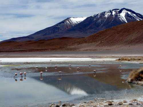 Uyuni (Bolivia)