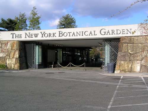 Il giardino botanico di New York (1)