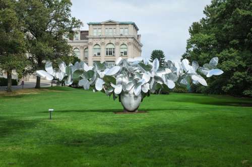 Il giardino botanico di New York (2)