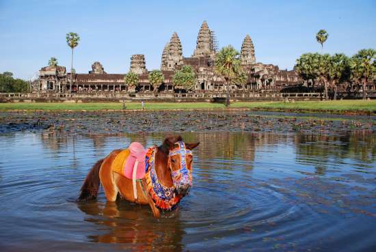 Angkor Wat, Siem Reap (2)