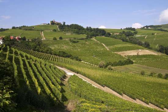 Langhe (Italia)