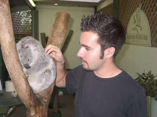 Tamas con un nuovo amico a Sydney