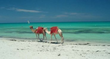Nuovi voli di Tunisair da Roma e Milano per Djerba