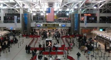 New York, un terminal per gli animali al JFK