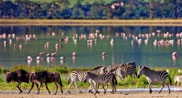 I più bei parchi naturali della Tanzania