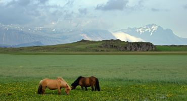 E’ l’Islanda il Paese più pacifico del 2015