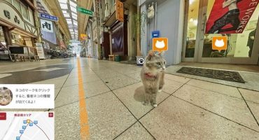 Cat Street View, il Giappone con gli occhi di un gatto
