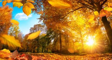 Viaggi e natura: le migliori destinazioni autunnali