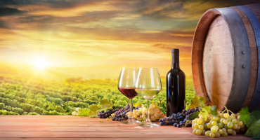 Enoturismo internazionale: viaggio on the road all’insegna del buon vino