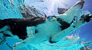 10 consigli per indimenticabili fotografie subacquee