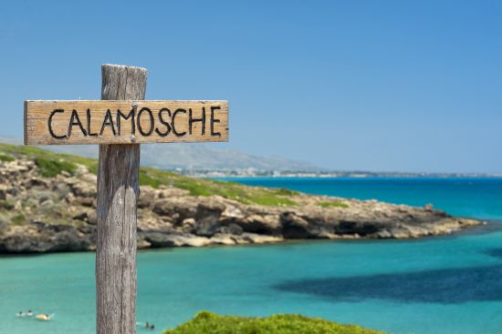 Calamosche