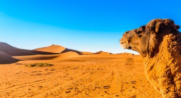 Cosa fare e vedere in Marocco