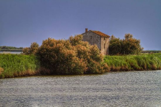 Valli di Comacchio