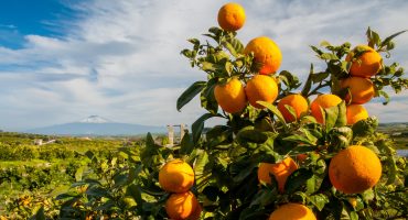 Road trip in Sicilia: viaggio nel cuore del Mediterraneo